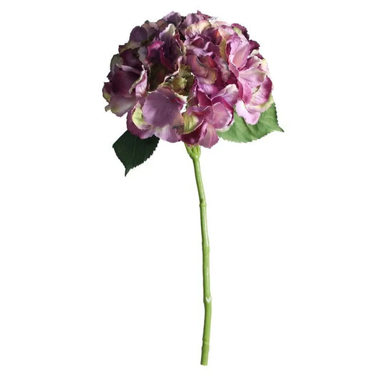 Short Stem Hydrangea Antique Purple