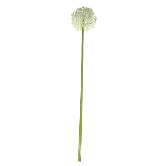 Single Allium Cream/White (76cm)