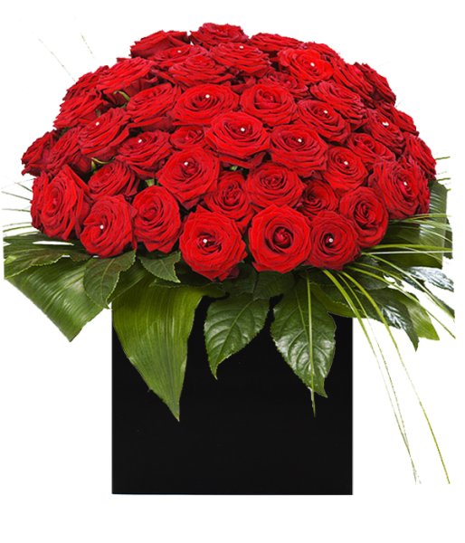 50 Red Roses