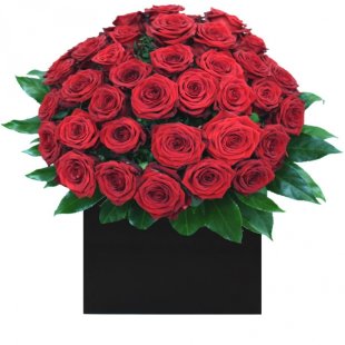 100 Red Roses