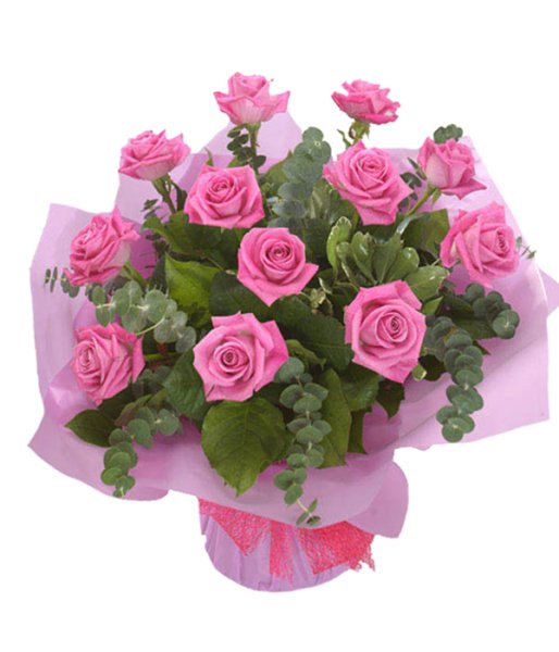 12 Pink Roses