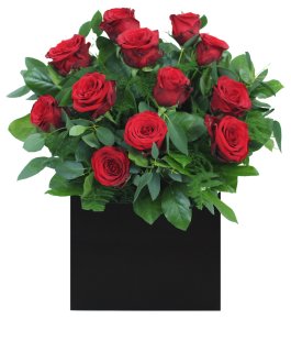 Fizzy Tulip Gift Set