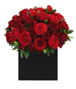 Red Romance