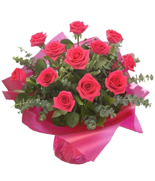 12 Cerise Pink Roses