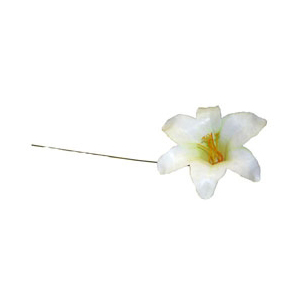 Harissi Lily White Pick(x100)
