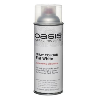 Spray Colour - Flat White