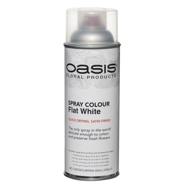 Spray Colour - Flat White