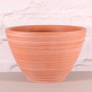 Pot - Terracotta Wash 13cm