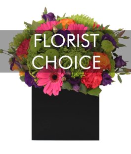 Florist Choice - Colourful