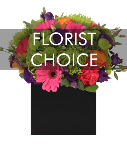 Florist Choice - Colourful