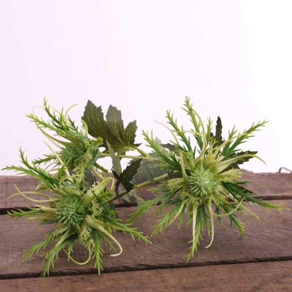 Wild Sea Holly Green