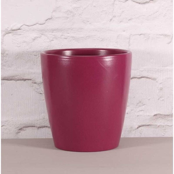Thorpe Orchid Pot