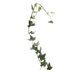 Artficial - Ivy Garland