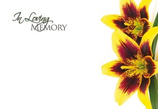 Greeting Cards - ILM - Yellow Flower