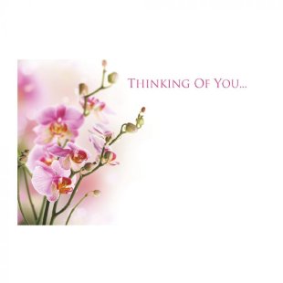 Greeting Card - Thinking of You - Pink Orchids