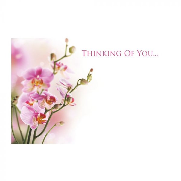 Greeting Card - Thinking of You - Pink Orchids