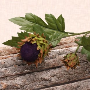 Scottish Thistle Spray x2 heads with 4 Leaves (51cm)