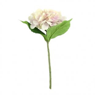 Arundel Hydrangea Lavender