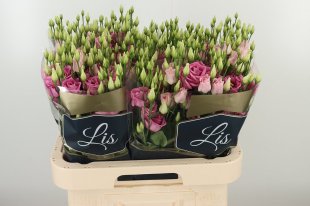 The pink wedding floral pack