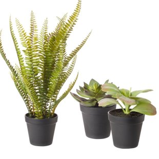 24 Artificial Succulents - Small-13 x 15cm