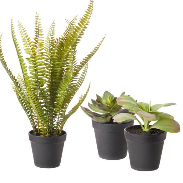 24 Artificial Succulents - Small-13 x 15cm
