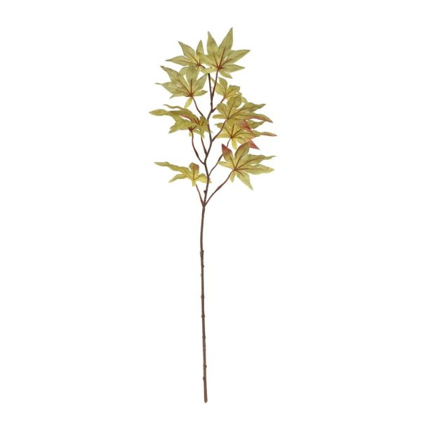 Glamis Maple Leaf spray 64cm Green