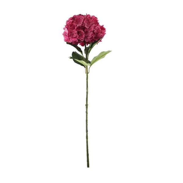 Essential Giant Hydrangea - Dark Pink