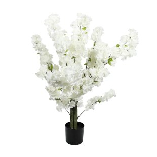 Essential Blossom Tree - White - 80cm