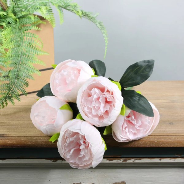 Arundel Peony Bush Light Pink