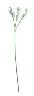 55cm Gypsophila White
