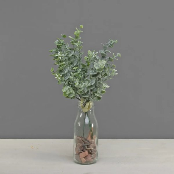 Eucalyptus bunch with frost