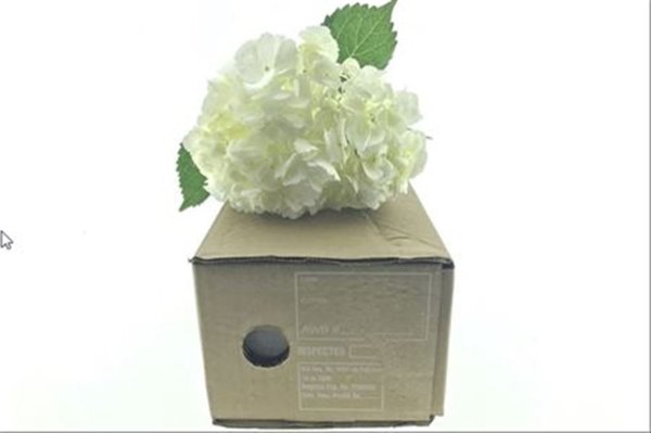 Hydrangea white box