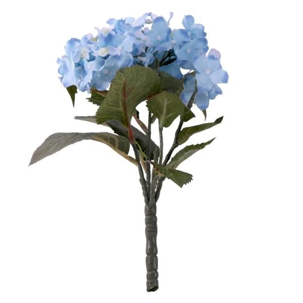 Hydrangea Bush Blue