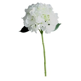 40cm Stem Hydrangea Cream