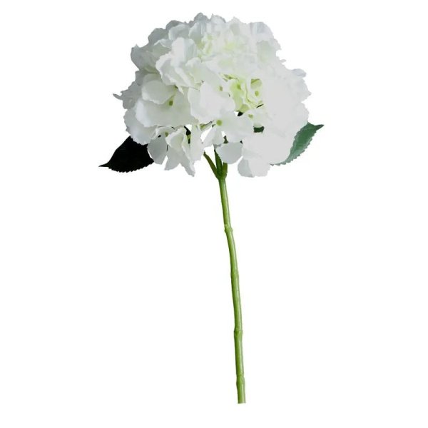 40cm Stem Hydrangea Cream