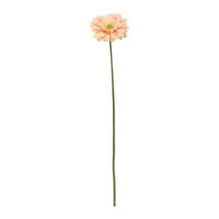 Orange Gerbera sf0860ph