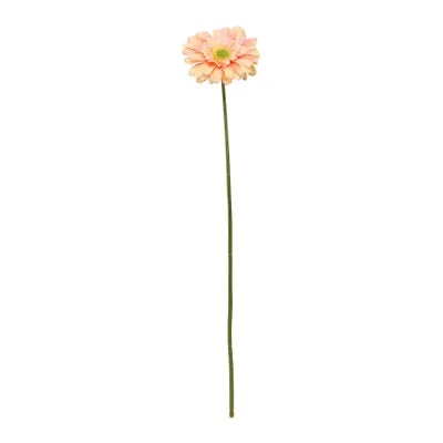 Orange Gerbera sf0860ph