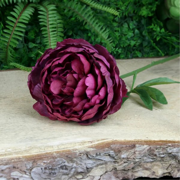 Single Peony Burgundy (62cm)