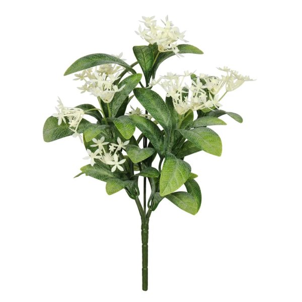 Exterior Everlast 25cm Star Flower plant U.V