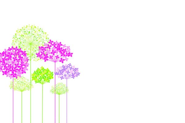 Multi-Coloured Hydrangea