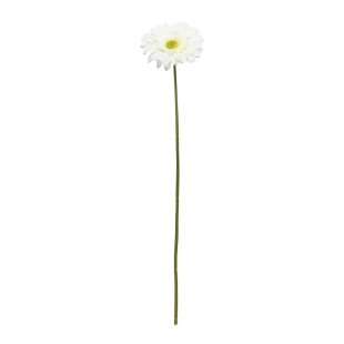 Single Gerbera Cream - 72cm