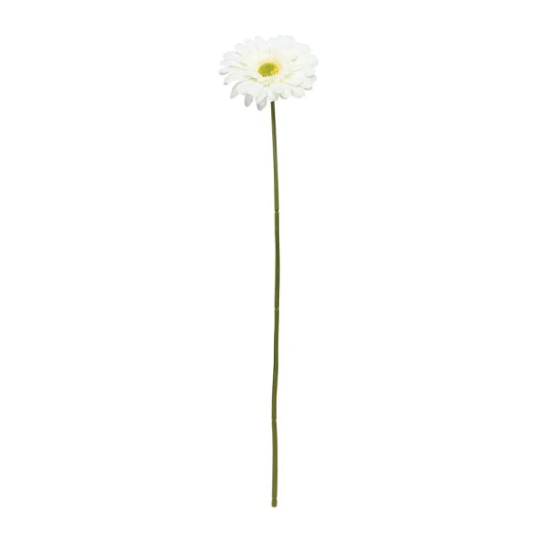 Single Gerbera Cream - 72cm