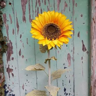 Sunflower (110cm)