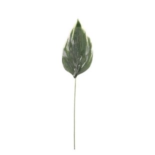 Hosta Leaf Single (26 inch)