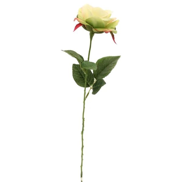 Wild Rose Spray Light Green (70cm x 4cm)