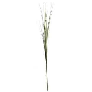 Green Onion Grass (105cm)