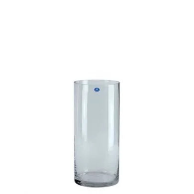 Glass Cylinder (H40cm)