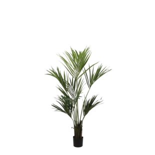MICA DECORATIONS KENTIA PALM - H150 X √ò130 CM - GREEN OUT OF STOCK