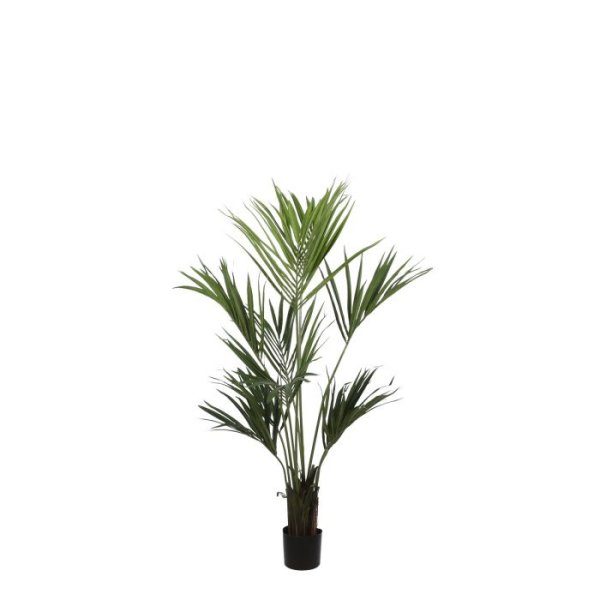 MICA DECORATIONS KENTIA PALM - H150 X √ò130 CM - GREEN OUT OF STOCK