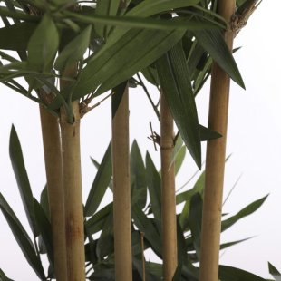 MICA DECORATIONS BAMBOO ARTIFICIAL PLANT - H150 X √ò75 CM - GREEN